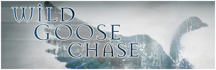 Wild Goose Chase